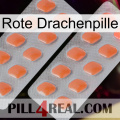 Red Dragon Pill 27